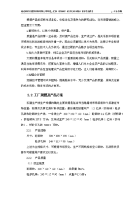 定稿亿块砼多孔砖窑炉改造项目可行性投资立项报告A1最终定稿(图文高清版)